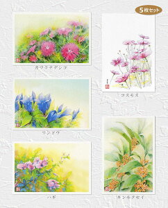  yVLO3ʓ H̉2@5Zbg ( JifVR hE nM RXX LNZC ʉ ) XIWiy fC[LO 3ʓ z