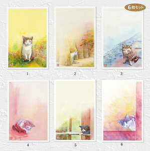 ˂͂2@6Zbg ( L lR  킢 cat ʉ i ) XIWi