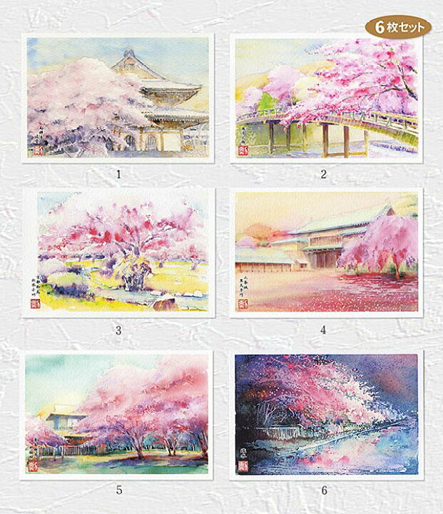 楽天市場 京の桜17 ６枚セット 京都 ポストカードセット 絵はがきセット お土産 おみやげ 絵葉書 絵はがき 桜 さくら 春 南禅寺 法堂 嵐山 渡月小橋 京都御苑 出水小川 二条城 東大手門 東本願寺 枳殻邸 琵琶湖疏水 夜景 水彩画 神社仏閣 和風 タニムラ ポストカード