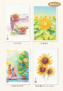 Ђ܂@4Zbg (  ^ ҏ  TtBjeB   ʉ ) XIWi