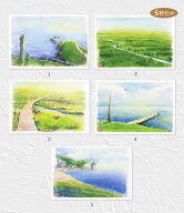 北海道の風景　5枚セット ( 釧路湿原 野付半島 二ツ岩海岸 霧多布岬 クッチャロ湖 水彩画 風景画 ) ★当…