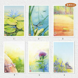 ̂镗i@6Zbg ( g{ Hx ԂƂ cV V`E AQn`E ʉ  ) XIWi