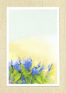 |XgJ[h [ hE ] ( H _  ʉ O[eBOJ[h ) XIWi