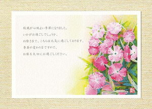 |XgJ[h [ ifVR ] ( Ĥւ q ؔ  ʉ ) XIWi