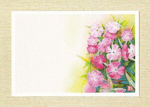 |XgJ[h [ ifVR ] ( q ؔ  ʉ O[eBOJ[h ) XIWi