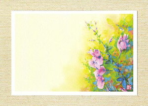 |XgJ[h [  ] ( nM  H  H̎ R ʉ O[eBOJ[h ) XIWi