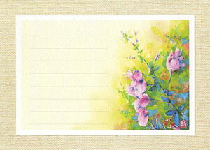 |XgJ[h [  ] ( nM  H  H̎ R ʉ O[eBOJ[h ) XIWi