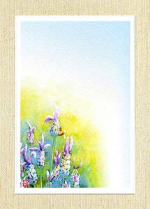 |XgJ[h [ t`x_[ ] ( x_[ 킢 ~co` I ʉ i O[eBOJ[h ) XIWiGt