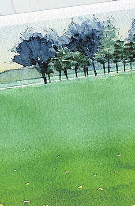 楽天市場 ニューヨーク セントラルパークの芝生広場 ポストカード 絵葉書 絵はがき ニューヨーク 静寂なる景色 爽やか セントラルパーク 芝生 インテリア アート Ny アメリカ 水彩画 風景画 タニムラ ポストカード ストア