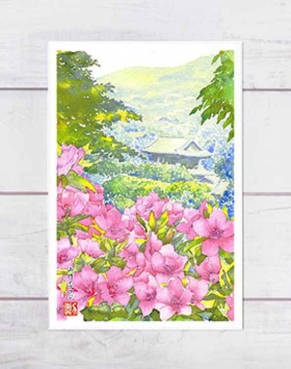楽天市場 春の花 南禅寺 山門とツツジ ポストカード 絵葉書 絵はがき 春 花 つつじ 躑躅 京都 和風 社寺仏閣 水彩画 風景画 タニムラ ポストカード ストア