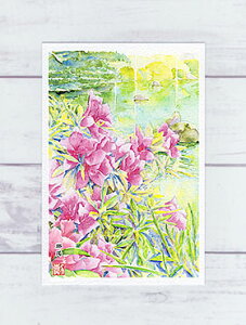 UP [ _̃ccW ] (  _{ ʉ i ) XIWi