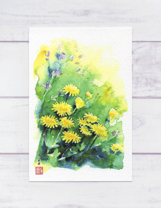 楽天市場 春の花 タンポポ 静物画 ポストカード 絵葉書 絵はがき かわいい お花 春 花 たんぽぽ 水彩画 タニムラ ポストカード ストア