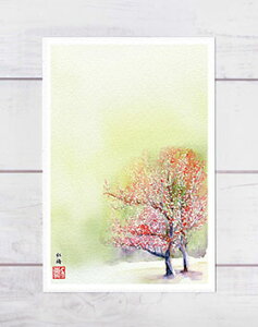 g~ [ s䉑 ] ( t   s䏊 ʉ i ) XIWi