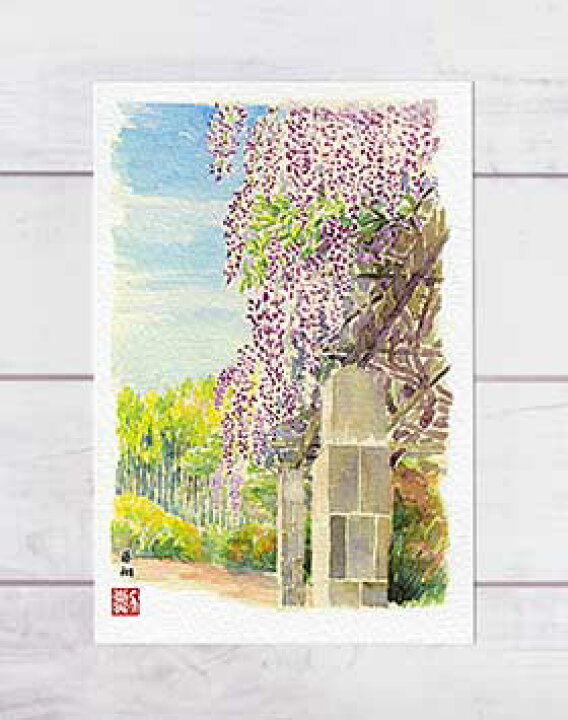 楽天市場】藤棚 [ 嵐山 ] ( フジ 藤 嵐山 亀山公園 京都 水彩画 風景画 