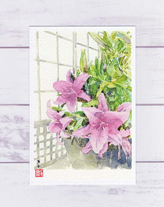 夏の花 大覚寺 百合 ポストカード 絵葉書 絵はがき ゆり ユリ 花 初夏 水彩画 風景画 和風 京都 Product Details Japanese Proxy Shopping Service From Japan