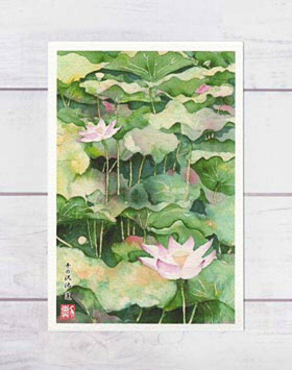 楽天市場 平の沢池の蓮 京都亀岡 ポストカード 絵葉書 絵はがき 蓮 はす 花 夏 水彩画 風景画 和風 亀岡 平の沢池 京都 タニムラ ポストカード ストア