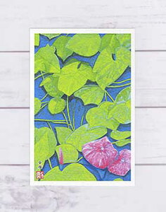  [ { ] ( qKI i ) XIWi