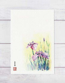 楽天市場 菖蒲 絵葉書の通販 楽天市場 菖蒲 絵葉書の通販