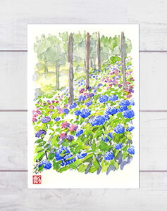  [ Oˎ ] (  z ʉ i ) XIWi