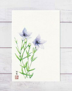 j[ [ LLE ] ( j[ Ă̂ւ ʉ ) XIWiy fC[LO 11ʓ z