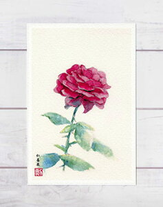 gKN [ RbhEwP ] ( o [Y KN ʉ ) XIWi