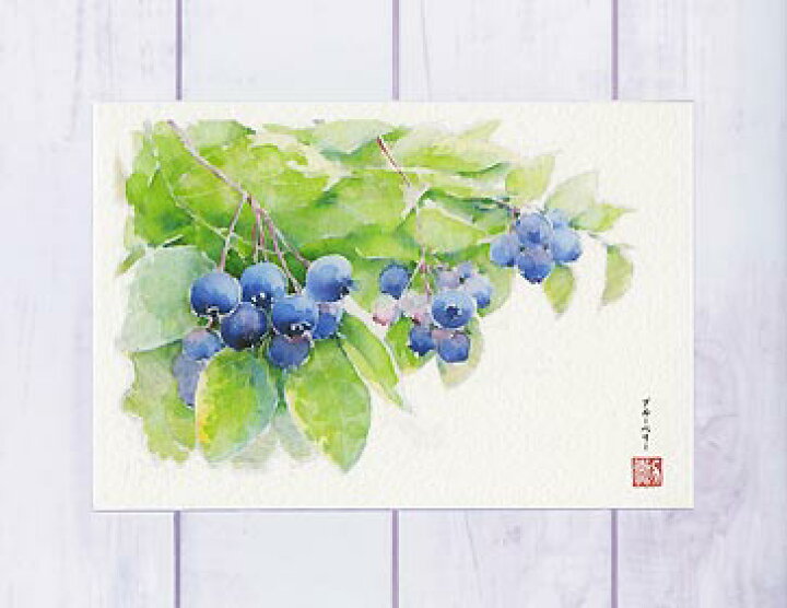 楽天市場 果実 ブルーベリー ポストカード 絵葉書 絵はがき フルーツ くだもの 果物 春 初夏 夏 青 実り 収穫 素敵な花言葉 水彩画 タニムラ ポストカード ストア