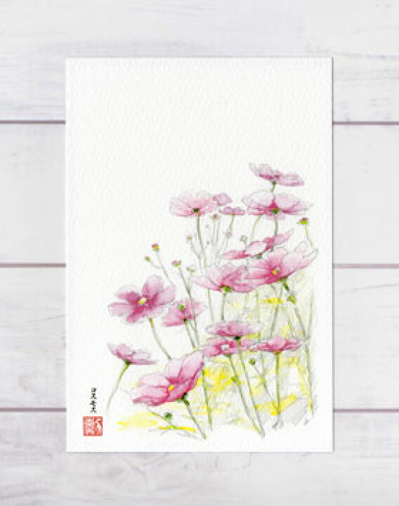 楽天市場 秋の花 コスモス ポストカード 絵葉書 絵はがき 秋 花 秋桜 水彩画 風景画 京都府立植物園 京都 タニムラ ポストカード ストア