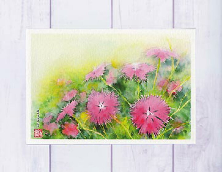 楽天市場 秋の花 カワラナデシコ ヤマトナデシコ ポストカード 絵葉書 絵はがき 秋 花 河原撫子 大和撫子 水彩画 タニムラ ポストカード ストア