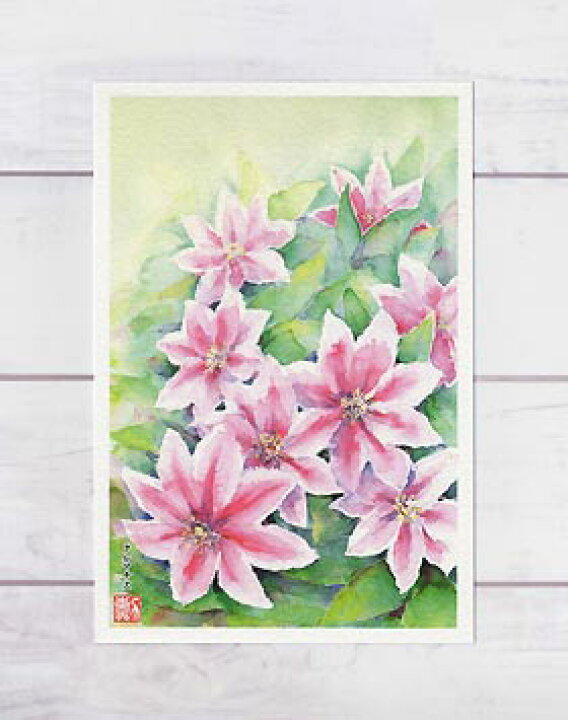 楽天市場】クレマチス ( ピンク色 水彩画 風景画 ) ☆当店オリジナル 