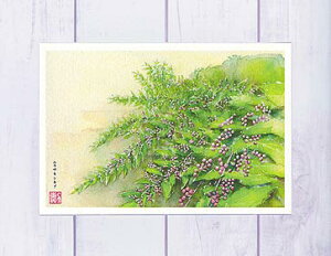 TLVLu [  ] ( H WF ʉ ) XIWi