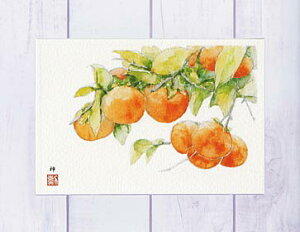  yVLO3ʓ ` ( JL   ʉ ) XIWi y fC[LO 3ʓ z