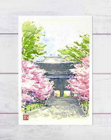 楽天市場 ポストカード 桜の通販
