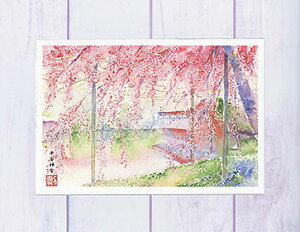 _{ [ s̍ ]( t Pr  Ўt a ʉ i )XIWi