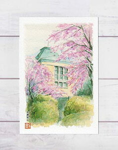 s{1 [ s̍ ]( t   }  a ʉ i )XIWi