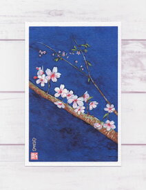 楽天市場 ポストカード 桜の通販