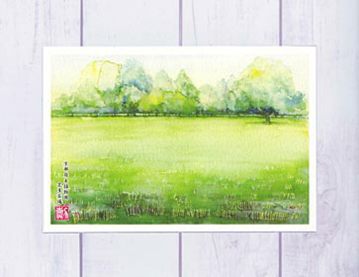楽天市場 芝生広場 京都府立植物園 ポストカード 絵葉書 絵はがき 夏 新緑 水彩画 風景画 芝生 植物園 和風 京都 タニムラ ポストカード ストア