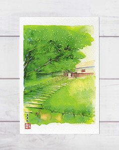 @@ [ ̃NXmL ] (     ss̓VRLO O[ ʉ i )XIWi