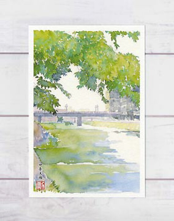 楽天市場 夏の鴨川 四条大橋 ポストカード 絵葉書 絵はがき 京都 夏 新緑 水辺 鴨川 美しい眺め 和風 水彩画 風景画 タニムラ ポストカード ストア