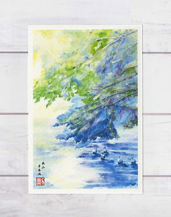 楽天市場 夏の水辺 北山 半木池の鴨 ポストカード 絵葉書 絵はがき 夏 池 鴨 新緑 水辺 水彩画 風景画 和風 京都府立植物園 京都 タニムラ ポストカード ストア