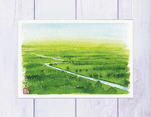 ΂̎ [ H ]( H kC ʉ i )XIWi