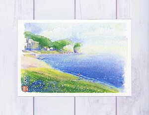 cC( ނl C Iz[cNC ԑ kC ʉ i )XIWi