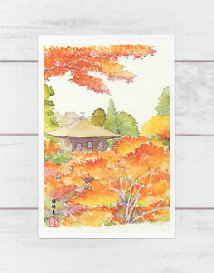 t1 [ s̍gt ] ( H ݂ Ǝ ωa EY s a ʉ i )XIWi