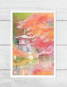 펛 ٓV [ s̍gt ] ( H ݂ EY  s a ʉ i )XIWi