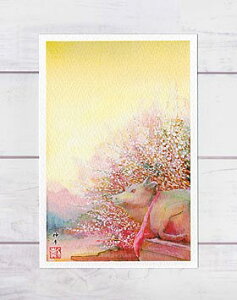 ~ƐԖڋ [ _ kV{ ] ( ~ iF  w̐_l 󌱂̐_l ʉ i O[eBOJ[h ) XIWiy fC[LO 13ʓ z