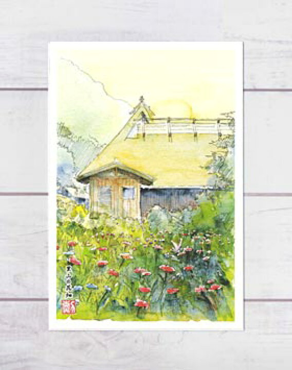 楽天市場 里山の花畑 美山町 ポストカード 絵葉書 絵はが 民家 萱葺き ノスタルジック 美山 京都 水彩画 風景画 タニムラ ポストカード ストア