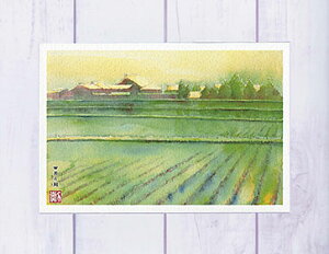 c̒ (   mX^WbN 풬 ߍ]  ʉ i ) XIWi