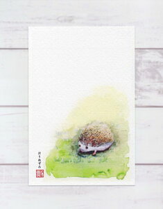 ͂˂2 ( lY~ l ʉ  O[eBOJ[h ) XIWi