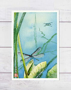 Hx [ nOg{ ] (      r ÎȂiF u[  Ƃ  A{ ߂ J qr q ʉ i )XIWi