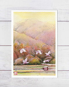  [ RnN`E ] (  nN`E Ă c c R S ؗ^ R ʉ i ) XIWi