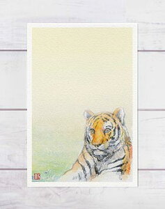 g m A[g4 ] (  ő̃lR Ȗ͗l Ŋ뜜 ʉ O[eBOJ[h ) XIWi